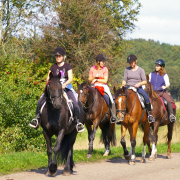 Paardrijden in Drenthe