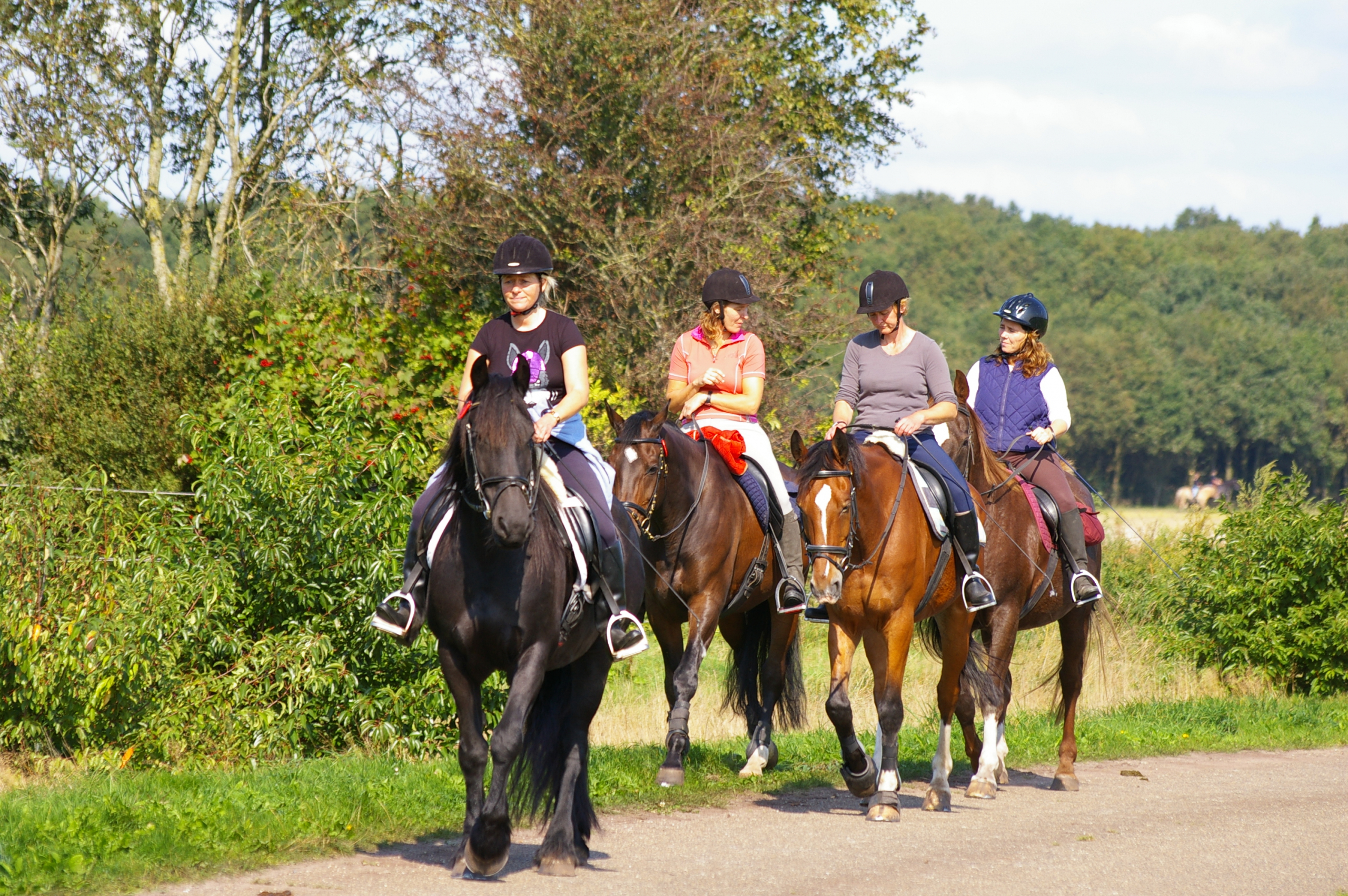 Paardrijden in Drenthe