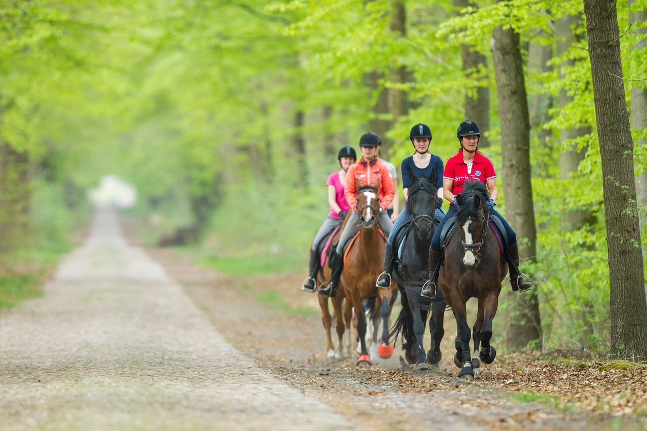 Stichting Paardenroutes Drenthe