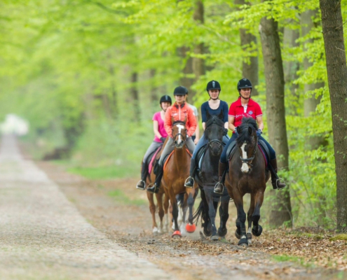 Paardrijden in Drenthe