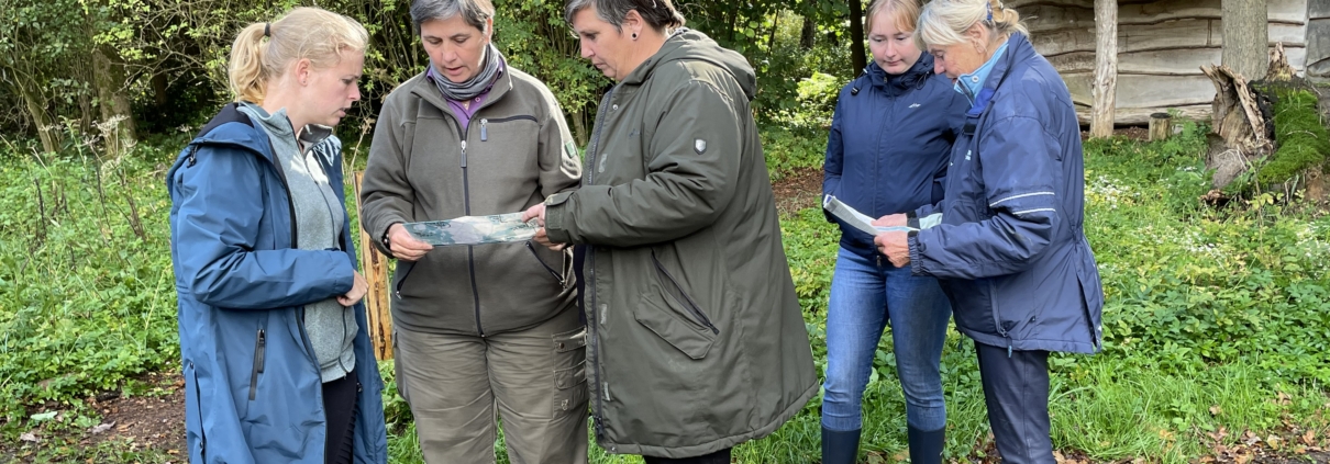 Foto's klusdag Adopteer je Routedag Drents-Friese Wold Stichting Paardenroutes Staatsbosbeheer Drenthe 14 oktober 2023