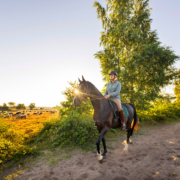 Stichting Paardenroutes Drenthe