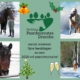 Stichting Paardenroutes Drenthe