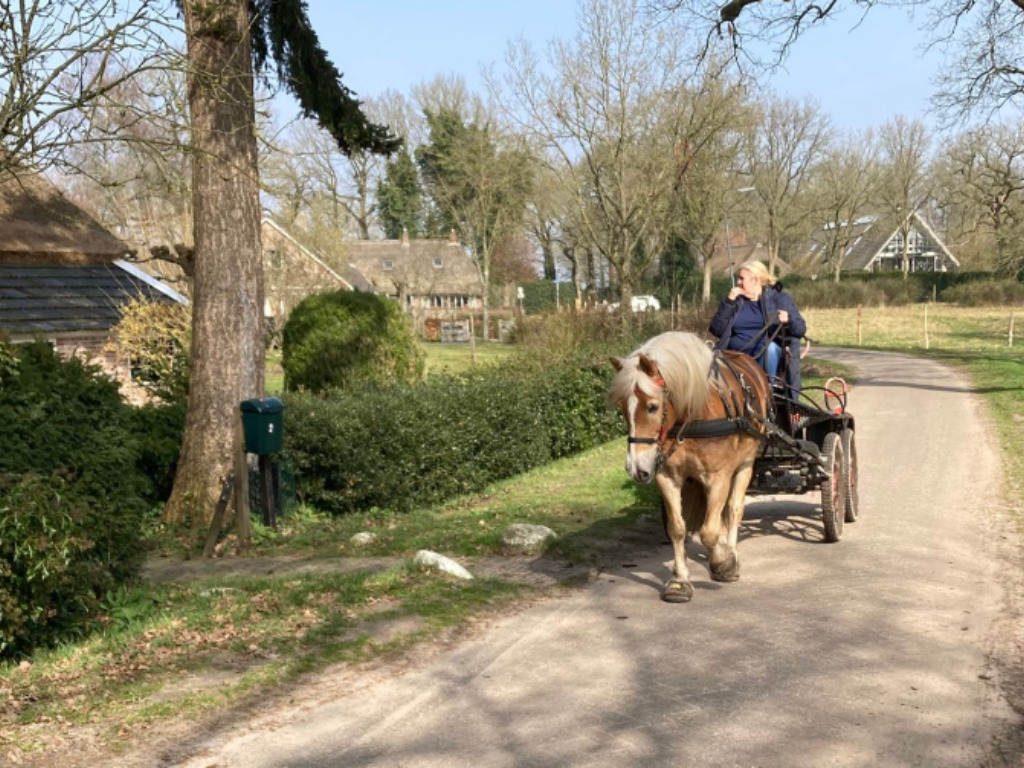 Blauw2 bijgesneden